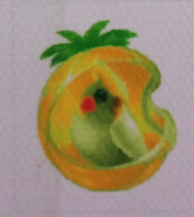 طرح خام به همراه ابزارهای نقاشی