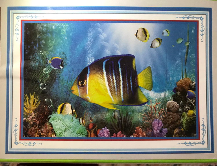 طرح خام به همراه ابزارهای نقاشی